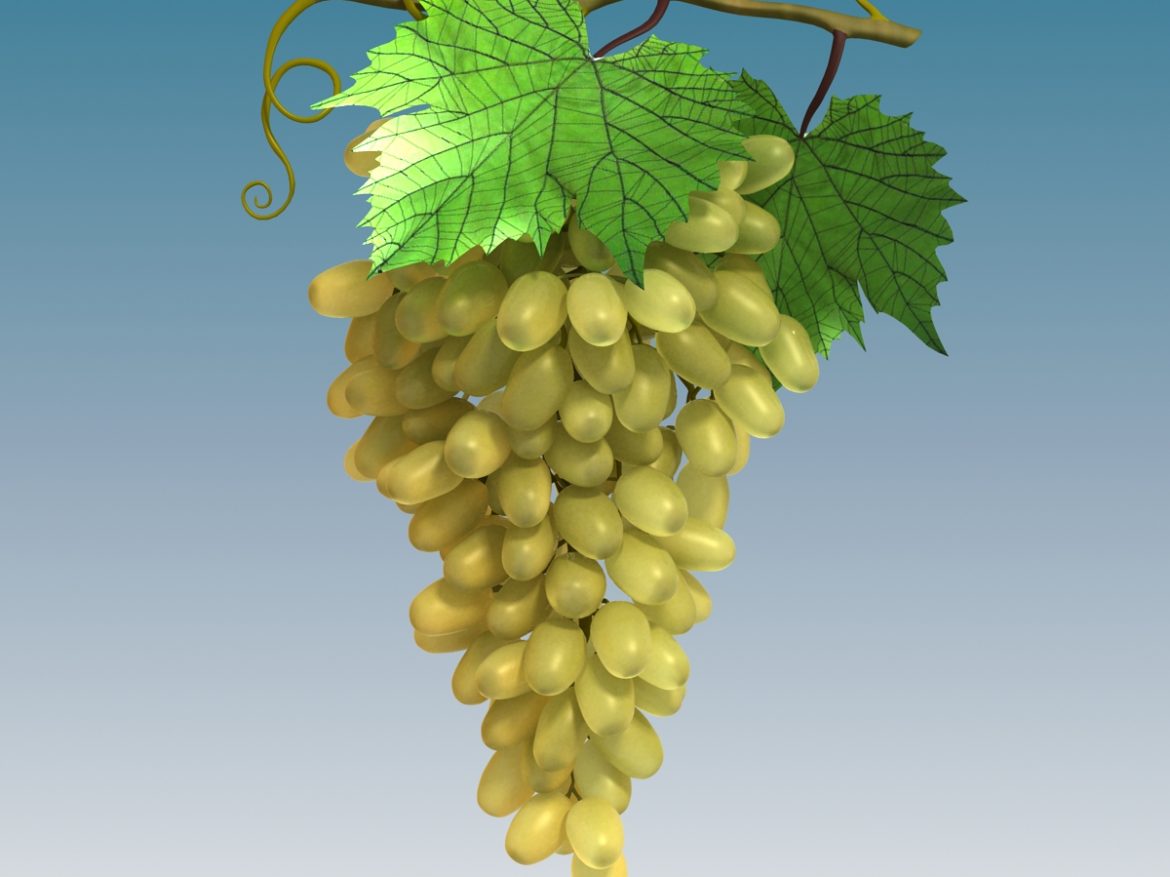 grapes cluster green 3d model 3ds max fbx c4d lwo obj 204230