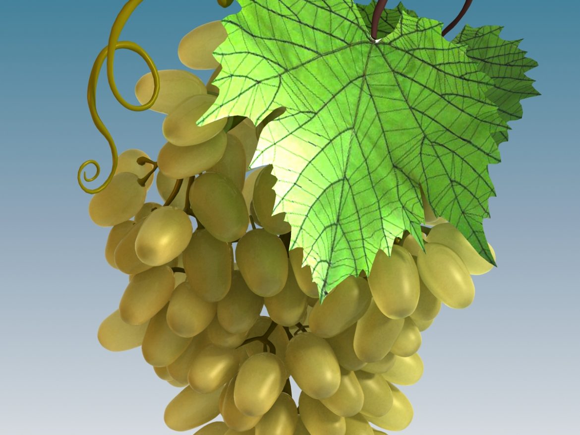 grapes cluster green 3d model 3ds max fbx c4d lwo obj 204231