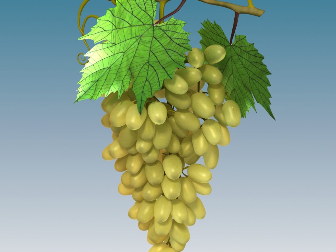 grapes cluster green 3d model 3ds max fbx c4d lwo obj 204232