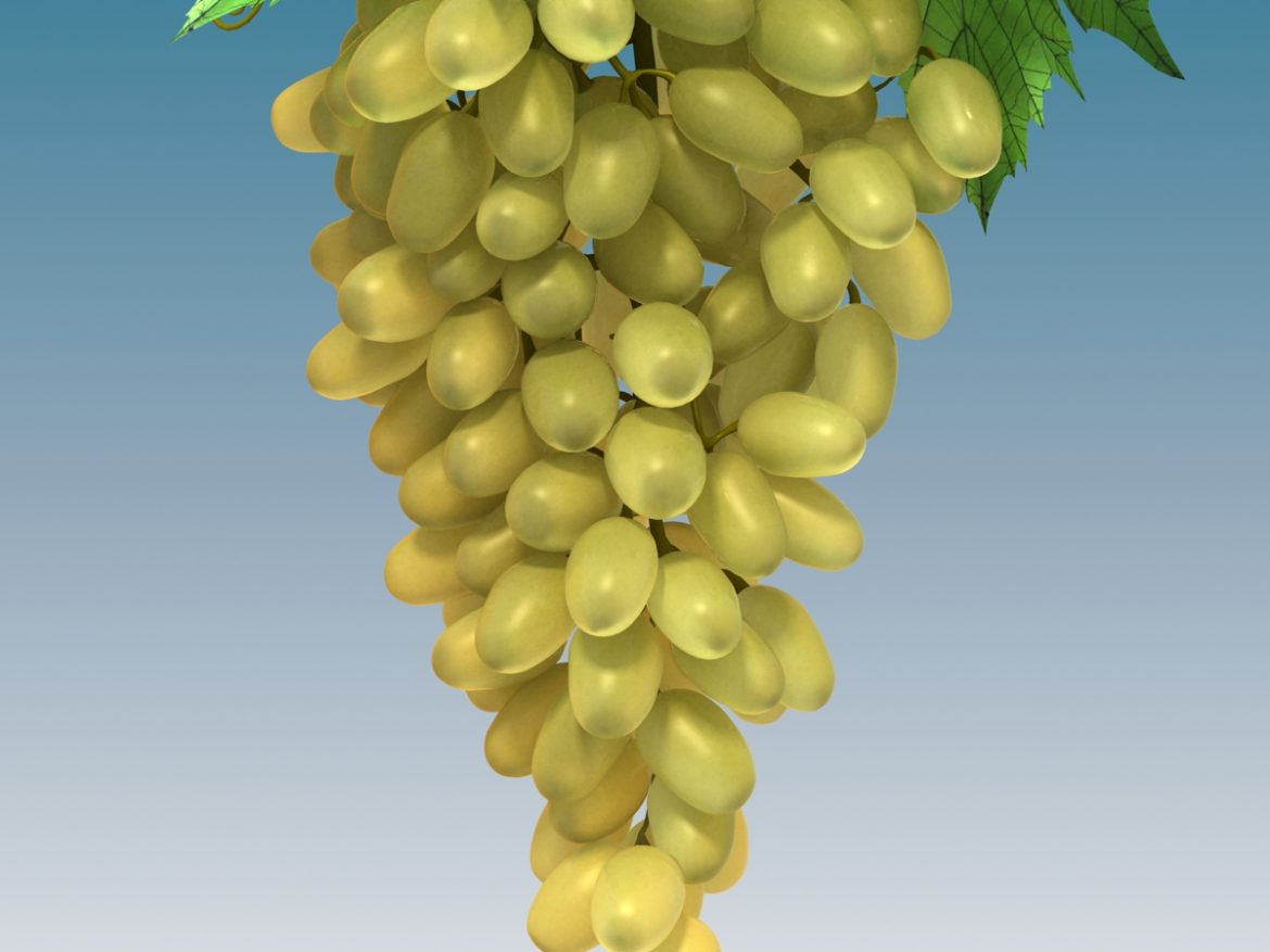 grapes cluster green 3d model 3ds max fbx c4d lwo obj 204233