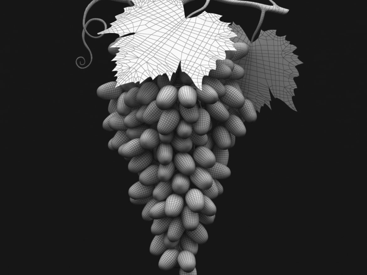 grapes cluster green 3d model 3ds max fbx c4d lwo obj 204235
