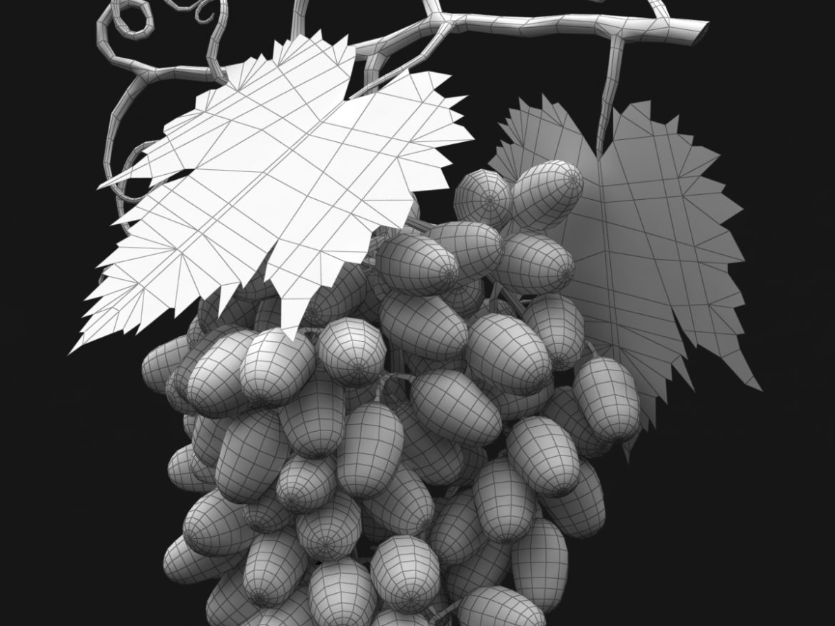 grapes cluster green 3d model 3ds max fbx c4d lwo obj 204239