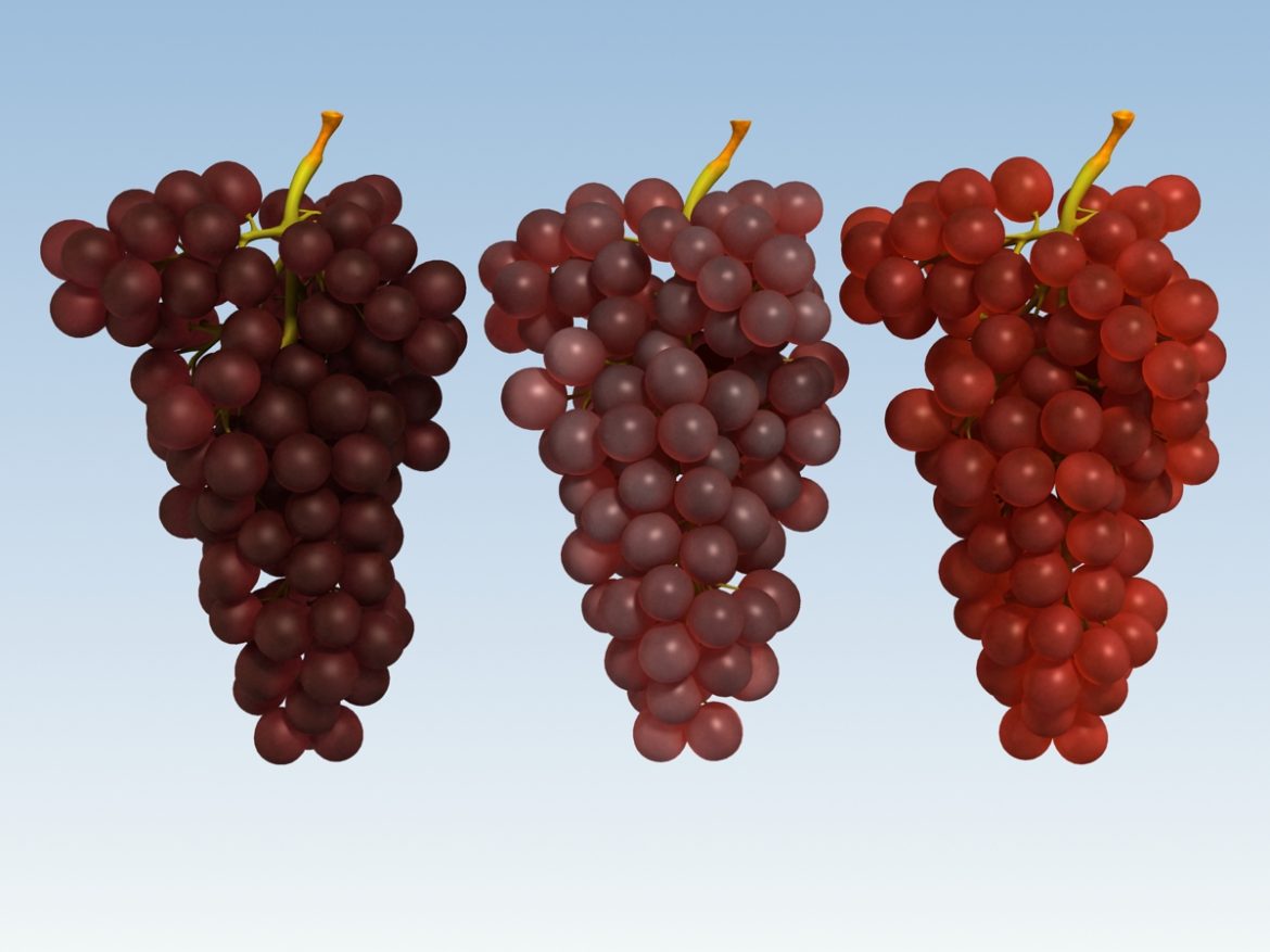 grapes red 3d model 3ds max fbx c4d lwo obj 204255