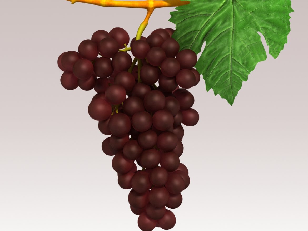 grapes red 3d model 3ds max fbx c4d lwo obj 204256