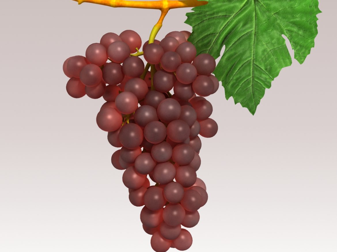 grapes red 3d model 3ds max fbx c4d lwo obj 204257
