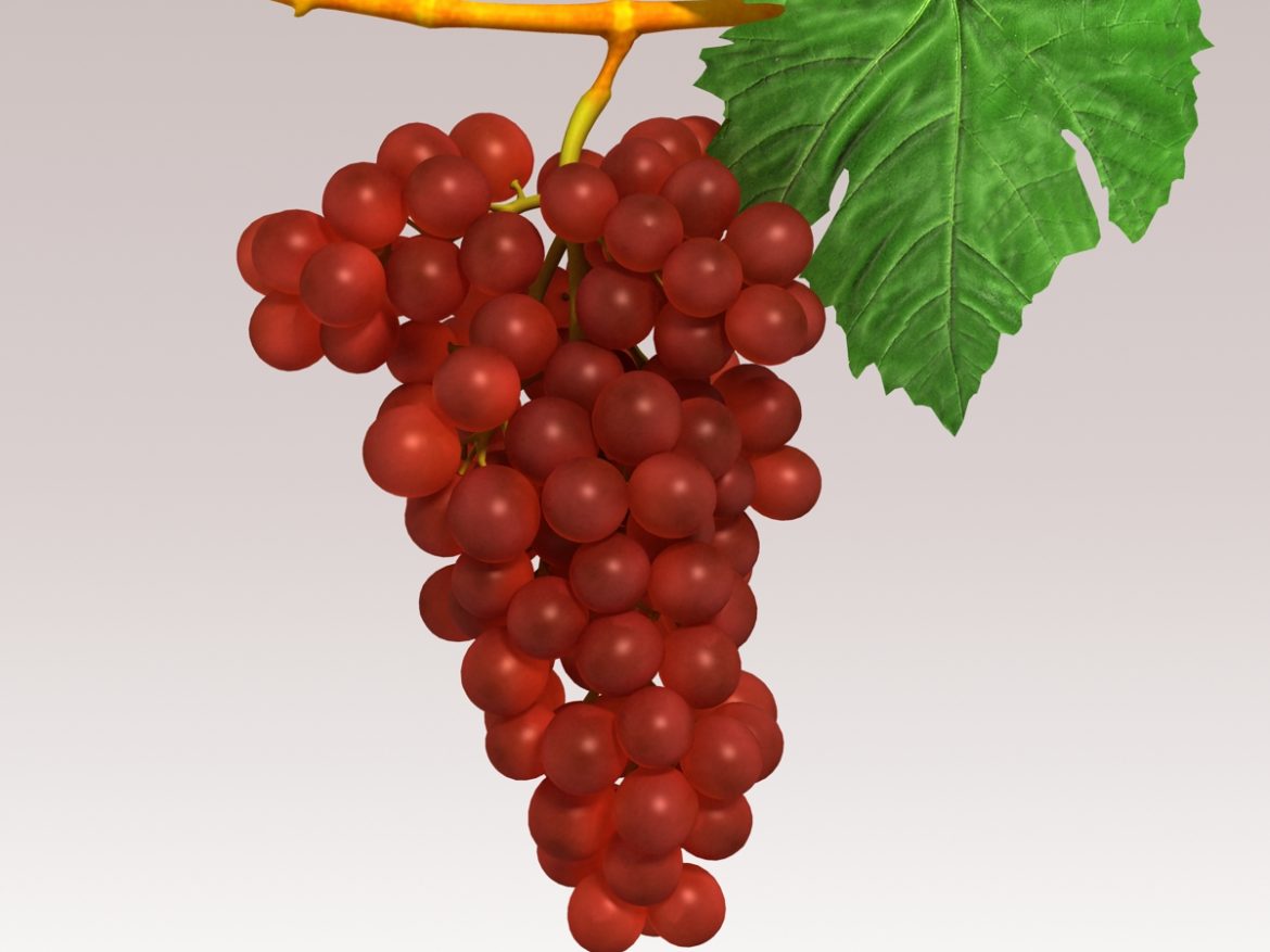 grapes red 3d model 3ds max fbx c4d lwo obj 204258