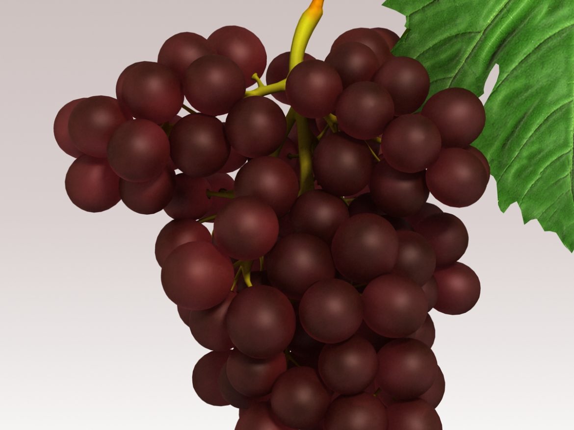 grapes red 3d model 3ds max fbx c4d lwo obj 204259