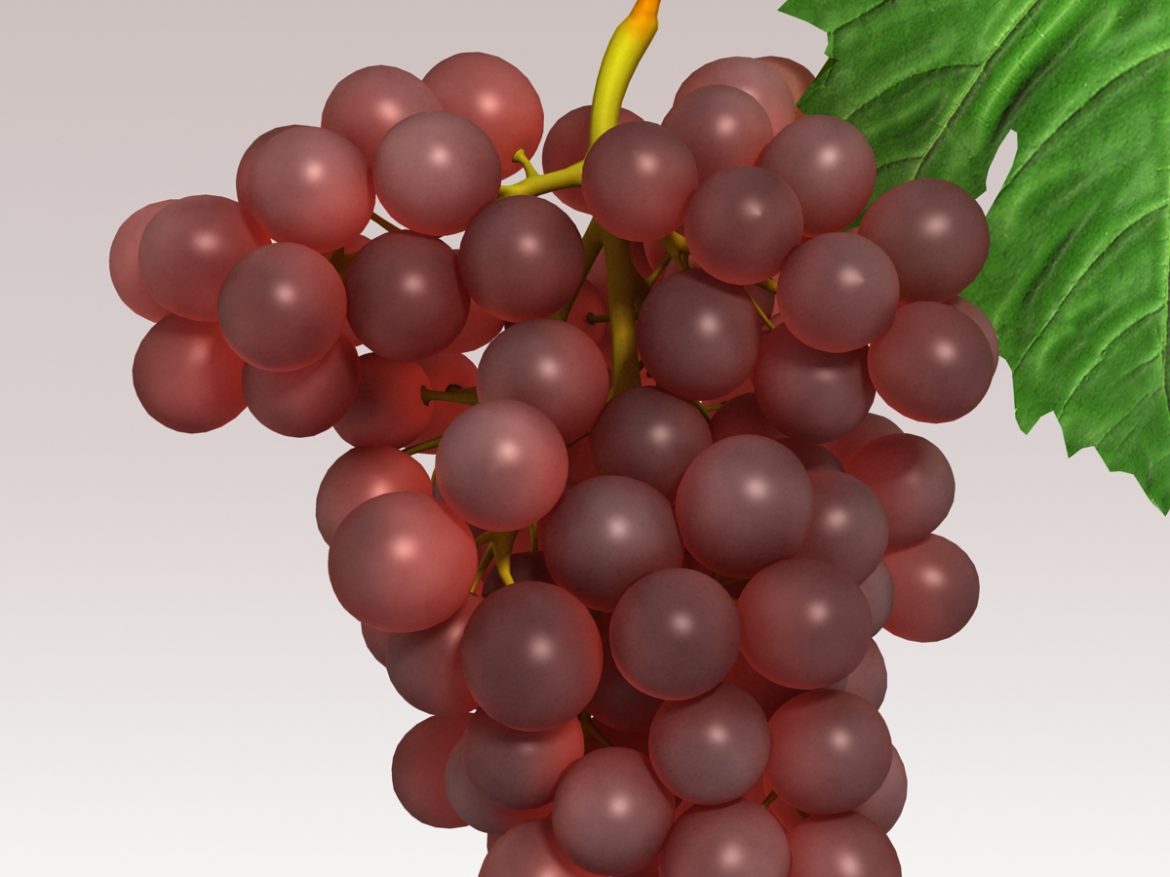 grapes red 3d model 3ds max fbx c4d lwo obj 204260