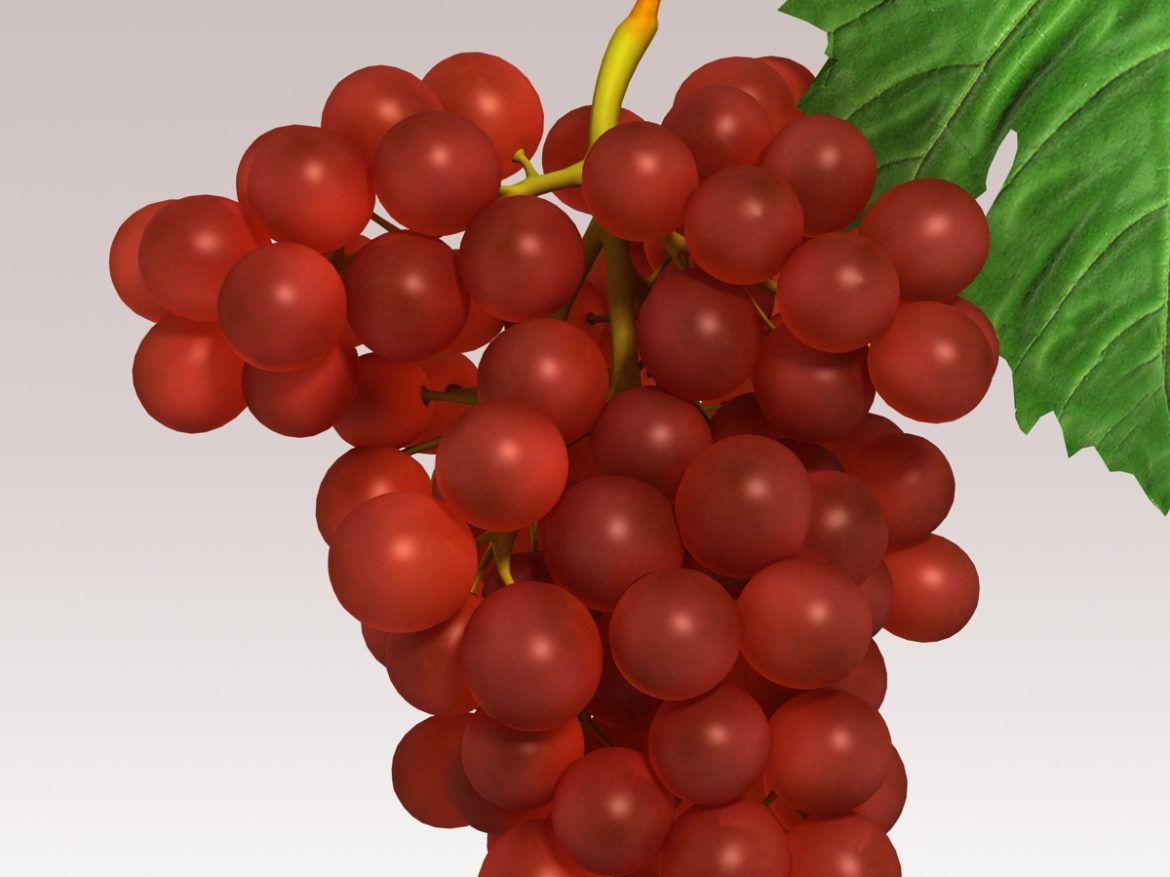 grapes red 3d model 3ds max fbx c4d lwo obj 204261