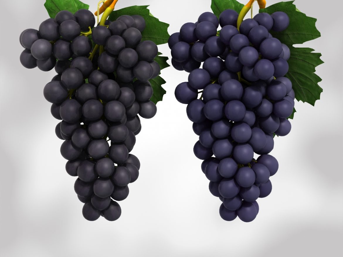 grapes black and blue 3d model 3ds max fbx c4d obj 204266