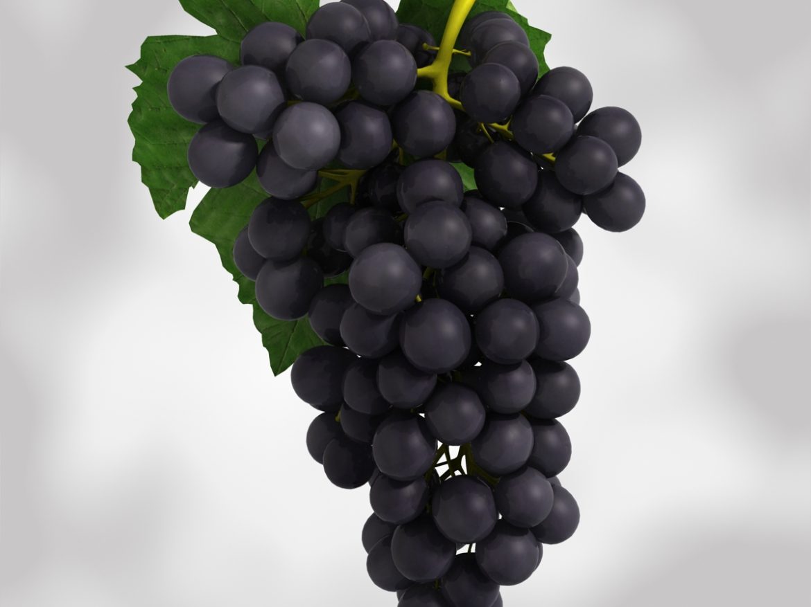 grapes black and blue 3d model 3ds max fbx c4d obj 204269