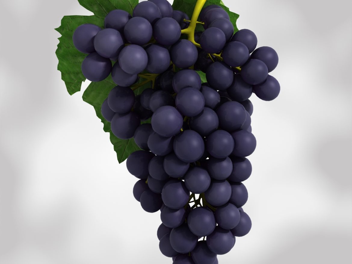 grapes black and blue 3d model 3ds max fbx c4d obj 204270