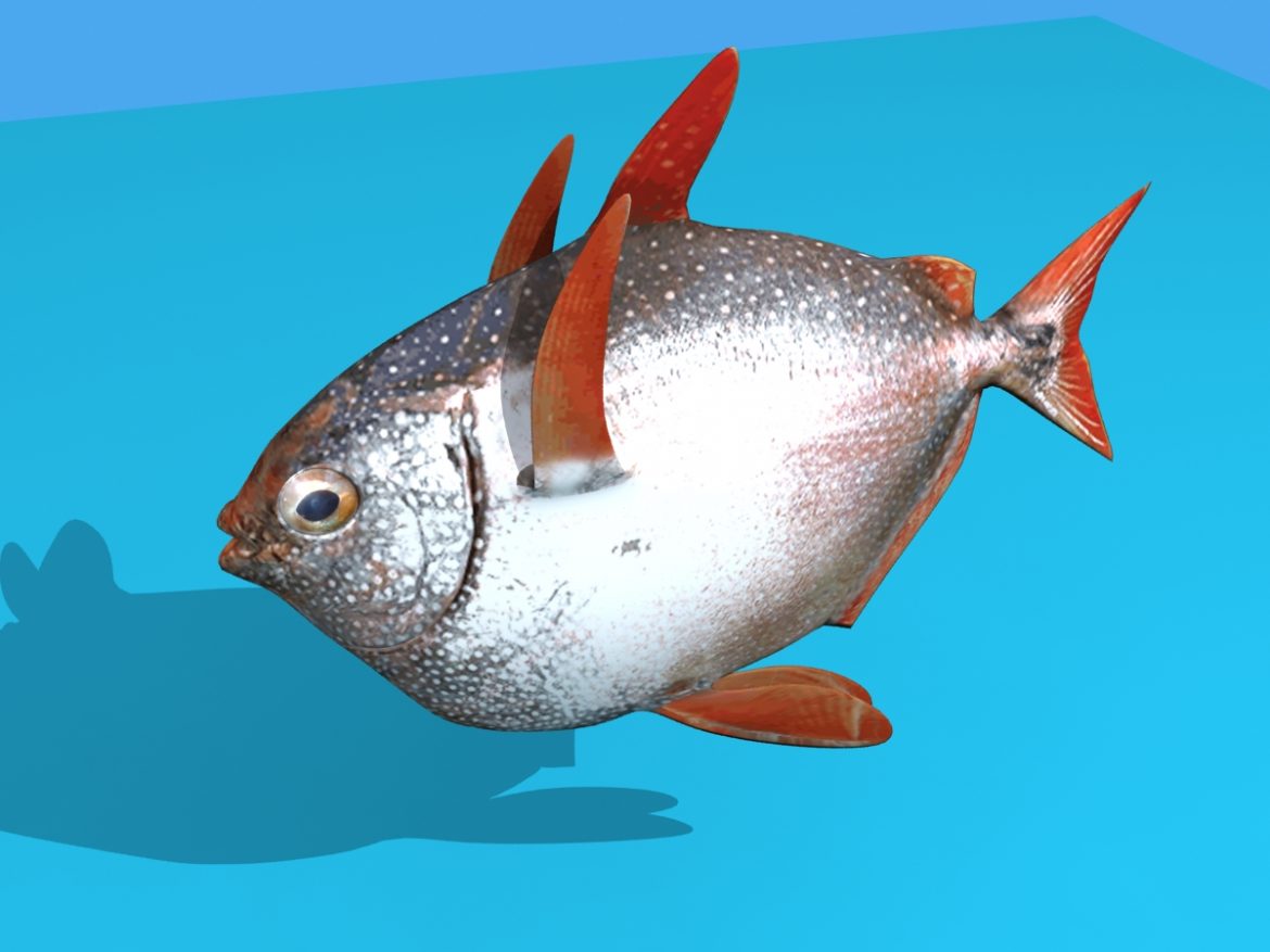 opah fish 3d model max fbx obj 211554
