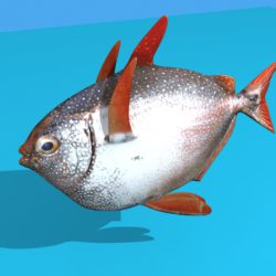 opah fish 3d model max fbx obj 211554
