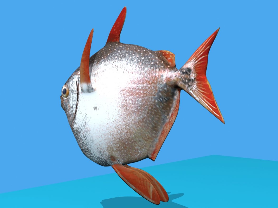 opah fish 3d model max fbx obj 211555