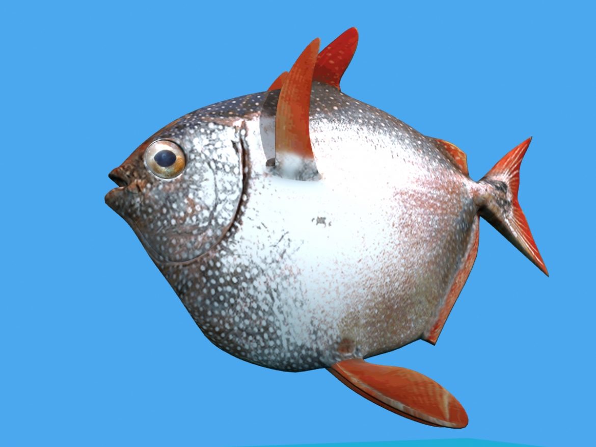 opah fish 3d model max fbx obj 211556