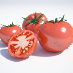 tomatoes 3d model max jpeg jpg obj 213090