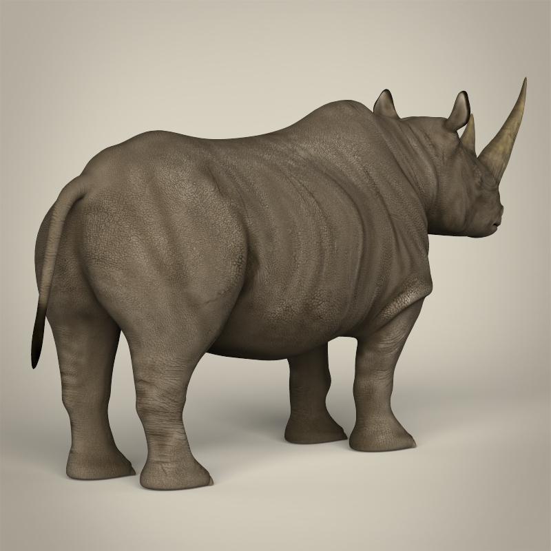 rhinoceros models free download