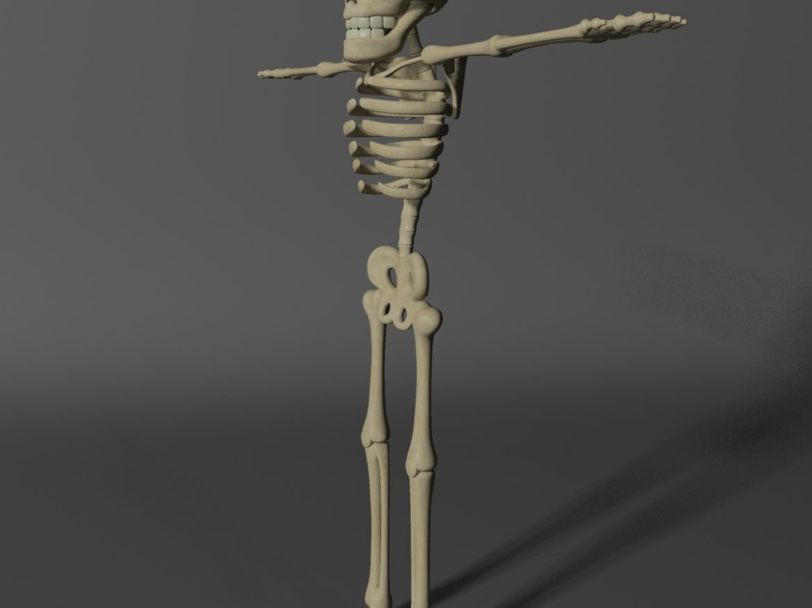 cartoon skeleton rigged 3d model 3ds max fbx obj 215122