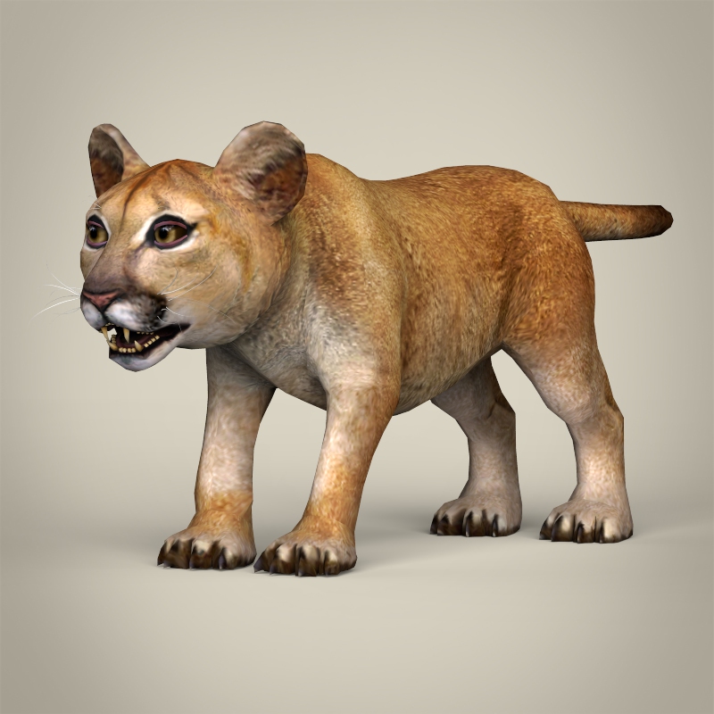 Low Poly Realistic Baby Lion 3D Model Buy Low Poly