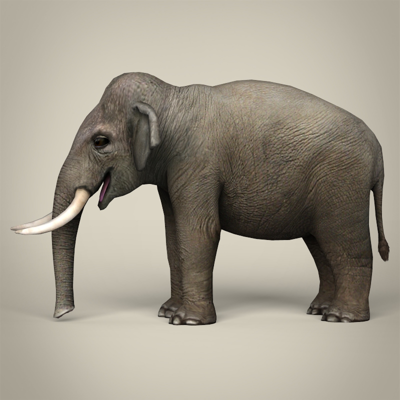 3d Elephant Model