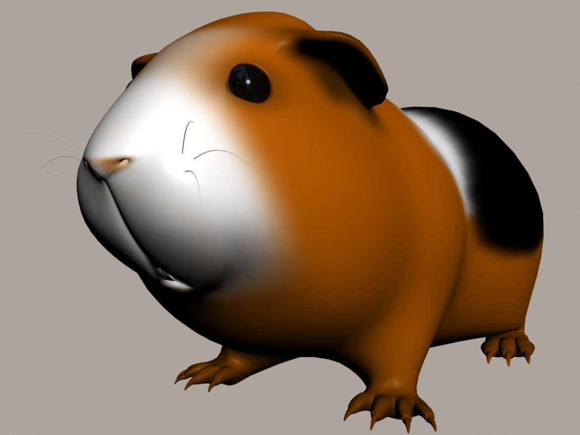 guinea pig (cavia porcellus) rigged 3d model 3ds max fbx  obj 217067