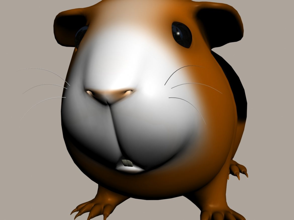 guinea pig (cavia porcellus) rigged 3d model 3ds max fbx  obj 217068