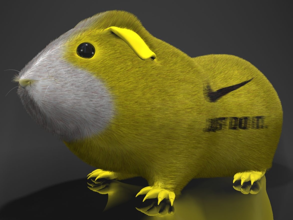 guinea pig (cavia porcellus) rigged 3d model 3ds max fbx  obj 217074