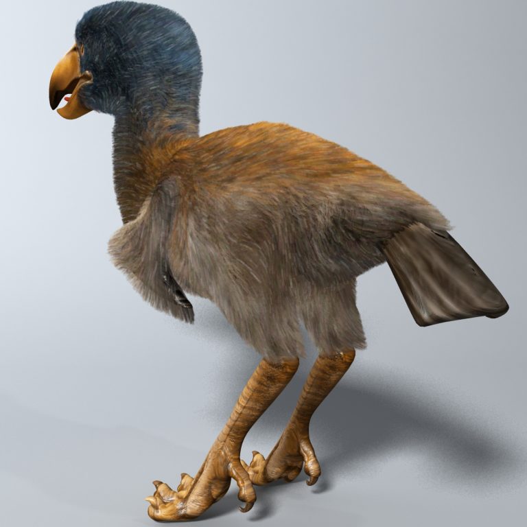 Titanis Walleri - Terror Bird RIGGED 3D Model - FlatPyramid