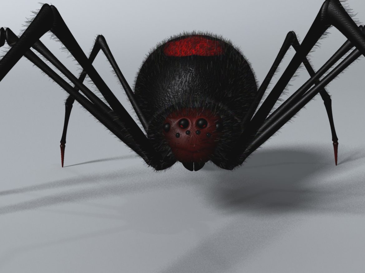 black spider rigged 3d model 3ds max fbx  obj 221104