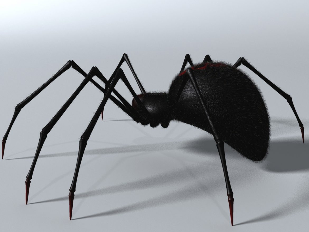 black spider rigged 3d model 3ds max fbx  obj 221105