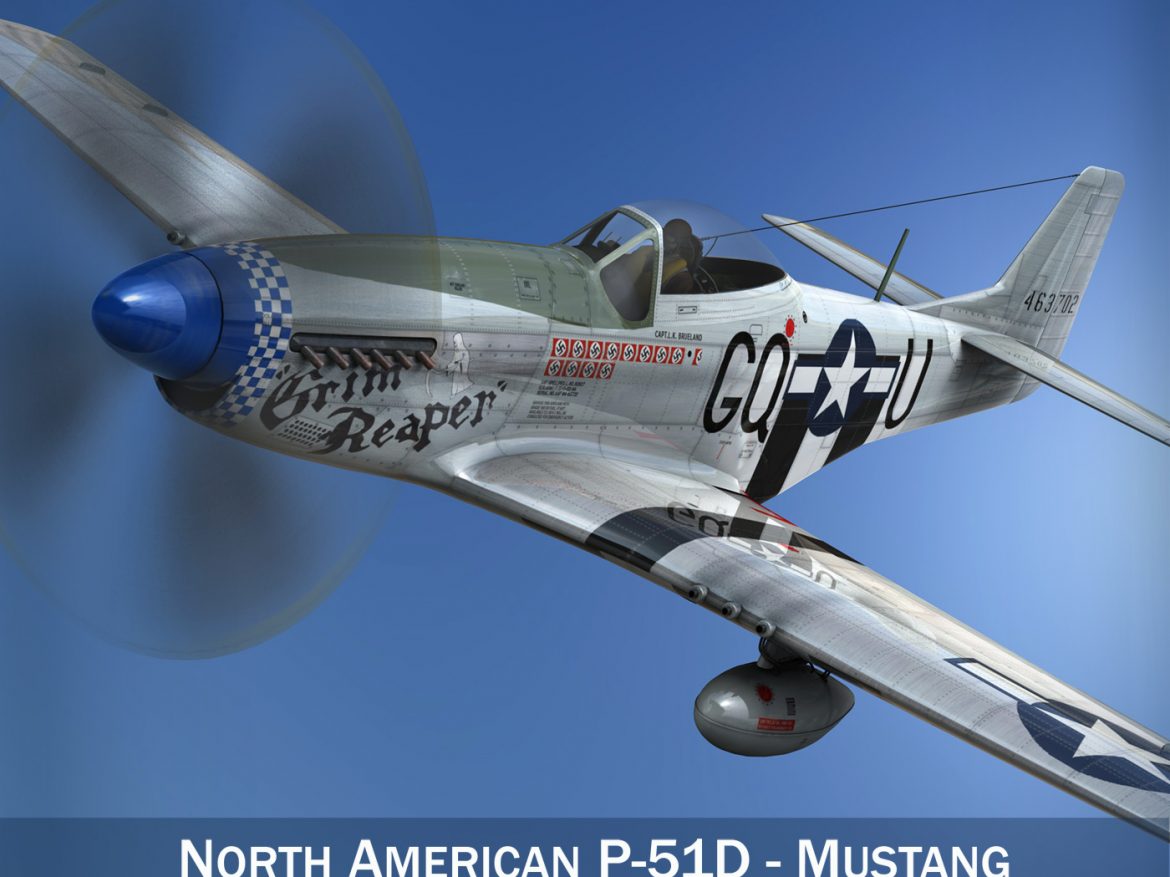 north american p-51d mustang – grim reaper 3d model fbx c4d lwo obj 252222