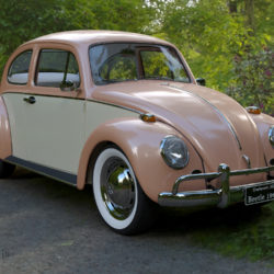 volkswagen beetle fusca 1969 3d model max c4d lxo ma mb  texture obj 263356
