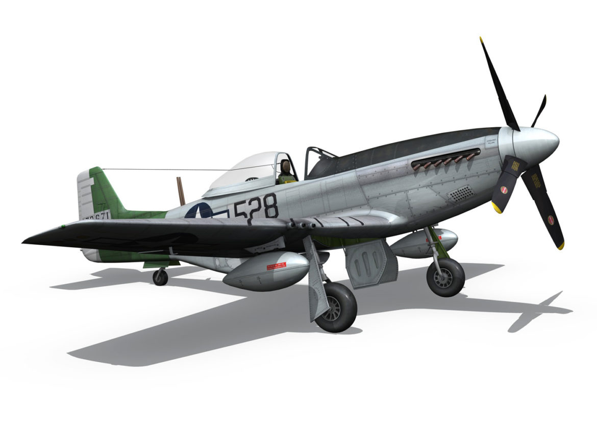 north american p-51d mustang – the enchantress 3d model lwo lw lws obj c4d fbx 266107