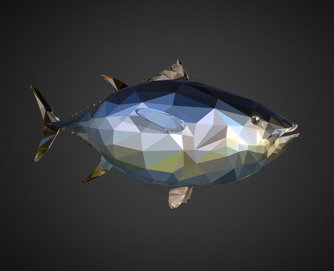 tuna low polygon art ocean fish 3d model 3ds  fbx ma mb tga targa icb vda vst pix obj 270102