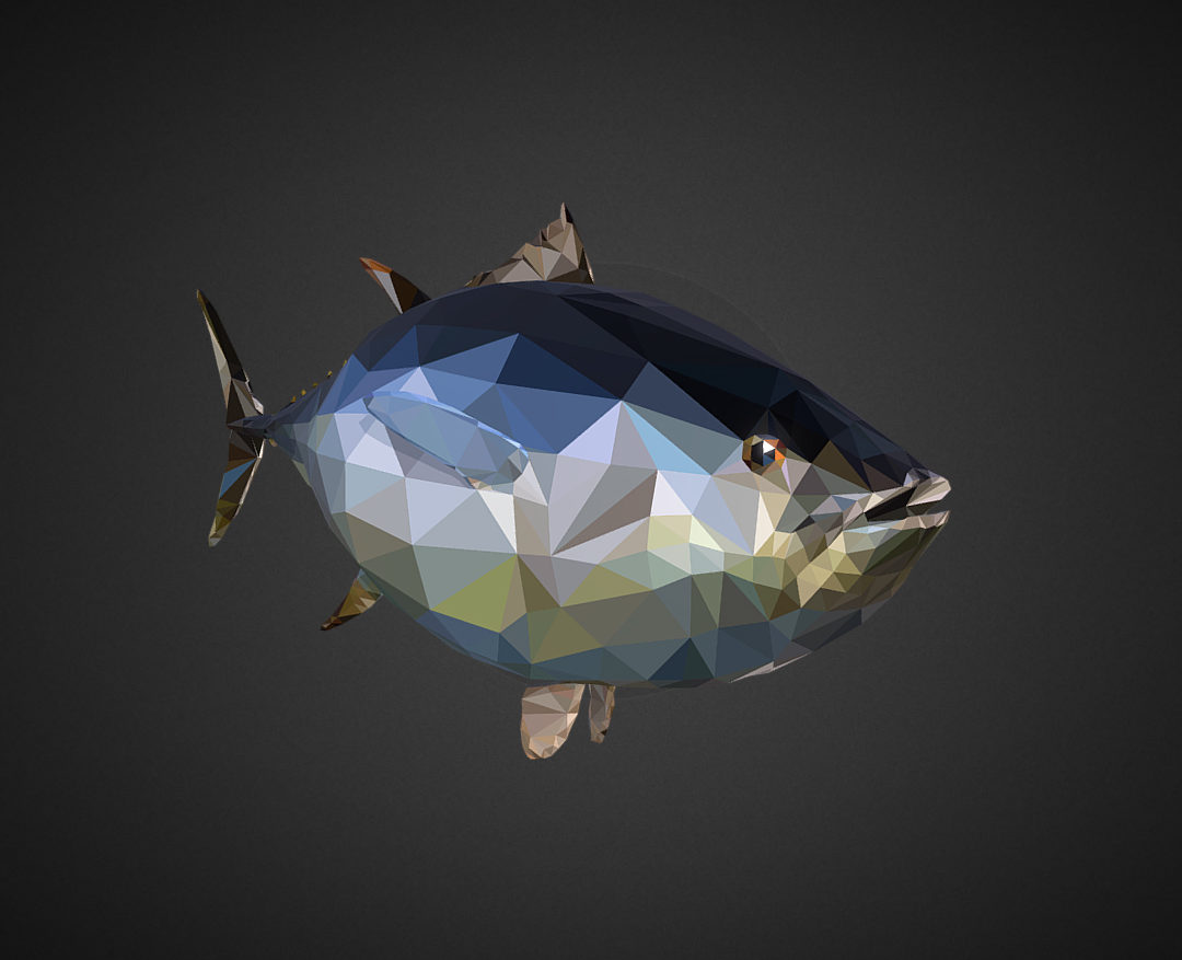 tuna low polygon art ocean fish 3d model 3ds  fbx ma mb tga targa icb vda vst pix obj 270103