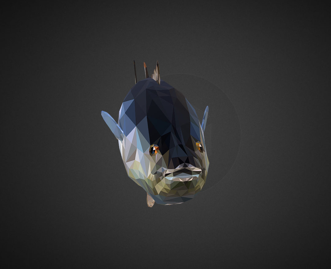 tuna low polygon art ocean fish 3d model 3ds  fbx ma mb tga targa icb vda vst pix obj 270104