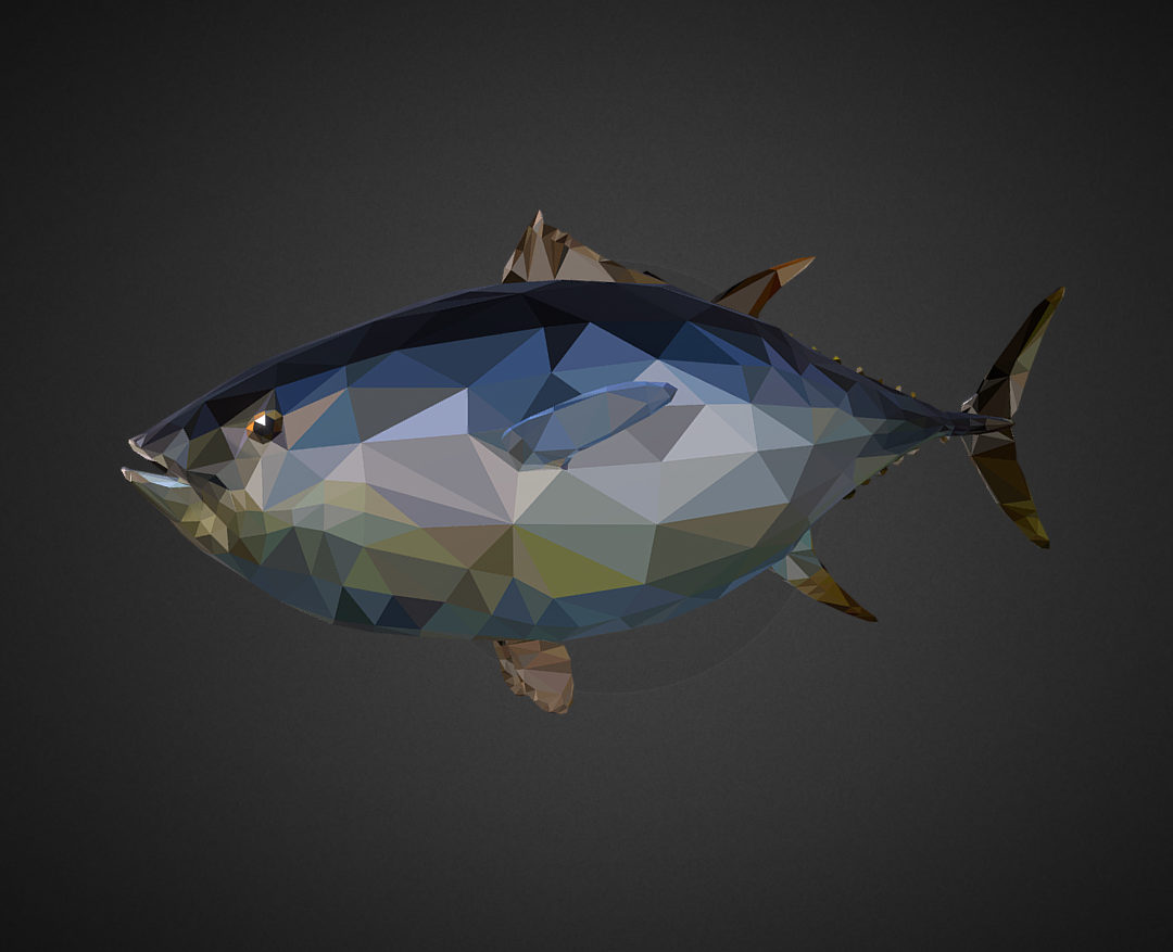 tuna low polygon art ocean fish 3d model 3ds  fbx ma mb tga targa icb vda vst pix obj 270106