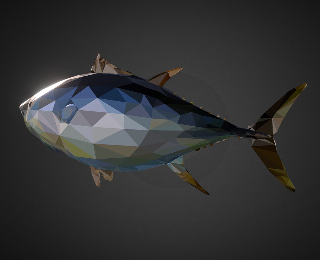 tuna low polygon art ocean fish 3d model 3ds  fbx ma mb tga targa icb vda vst pix obj 270107