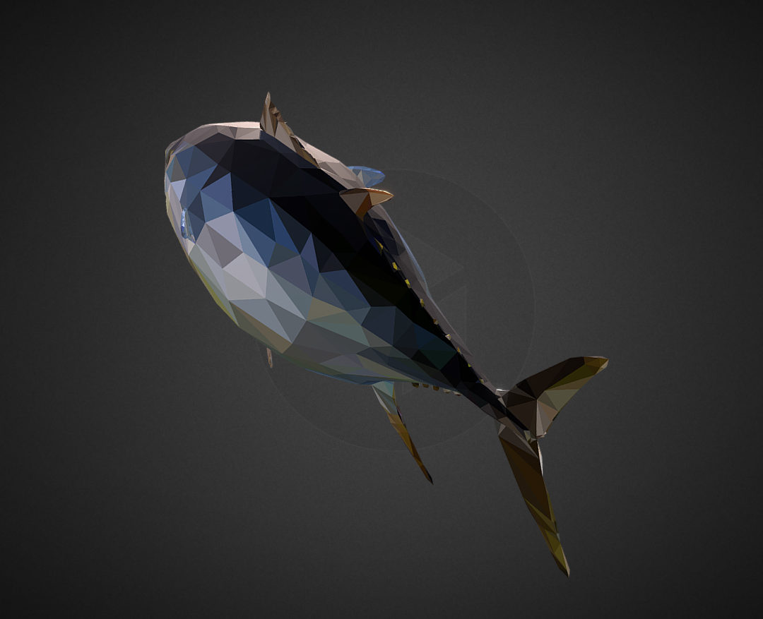 tuna low polygon art ocean fish 3d model 3ds  fbx ma mb tga targa icb vda vst pix obj 270108