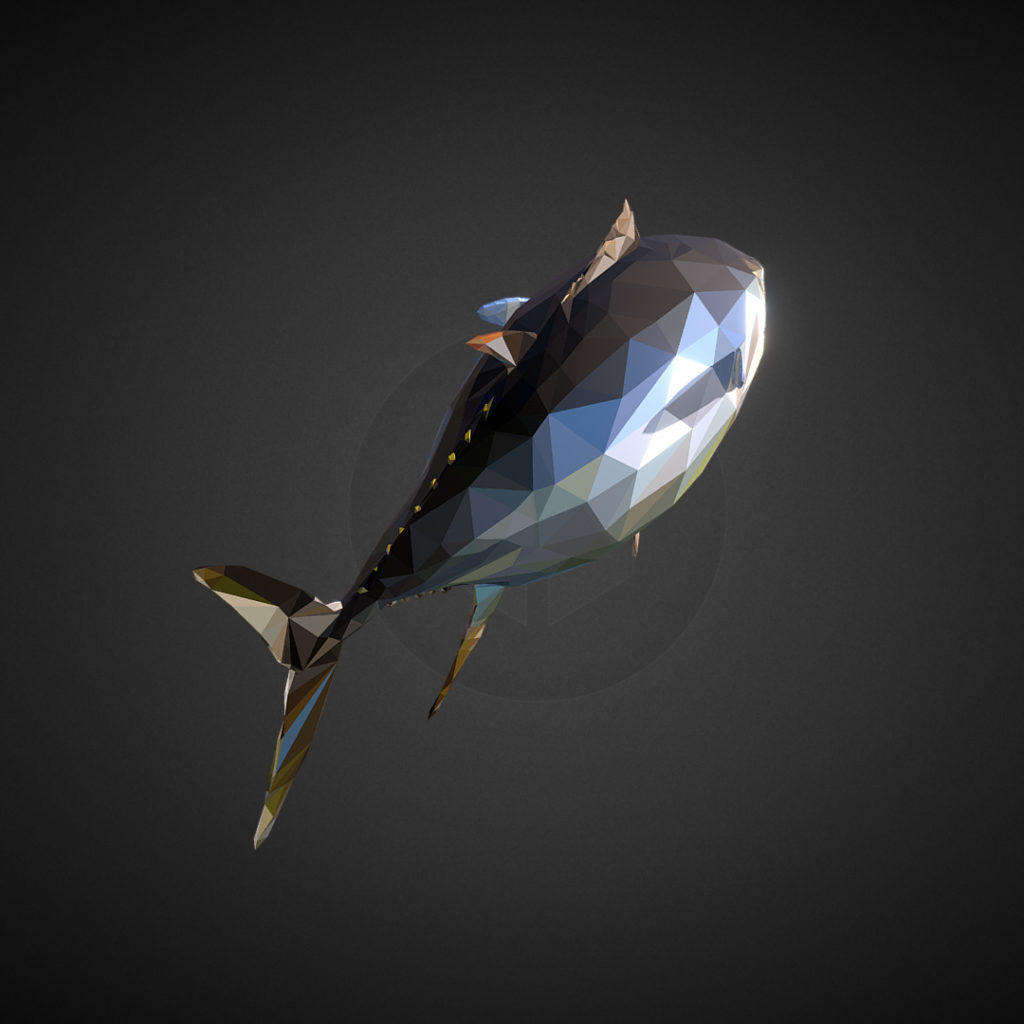 Tuna Low Polygon Art Ocean Fish 3D Model - FlatPyramid