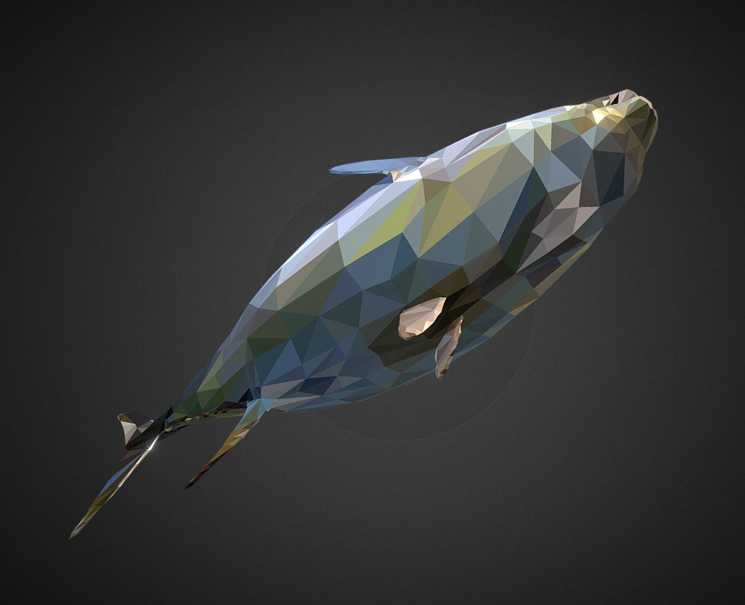 tuna low polygon art ocean fish 3d model 3ds  fbx ma mb tga targa icb vda vst pix obj 270110