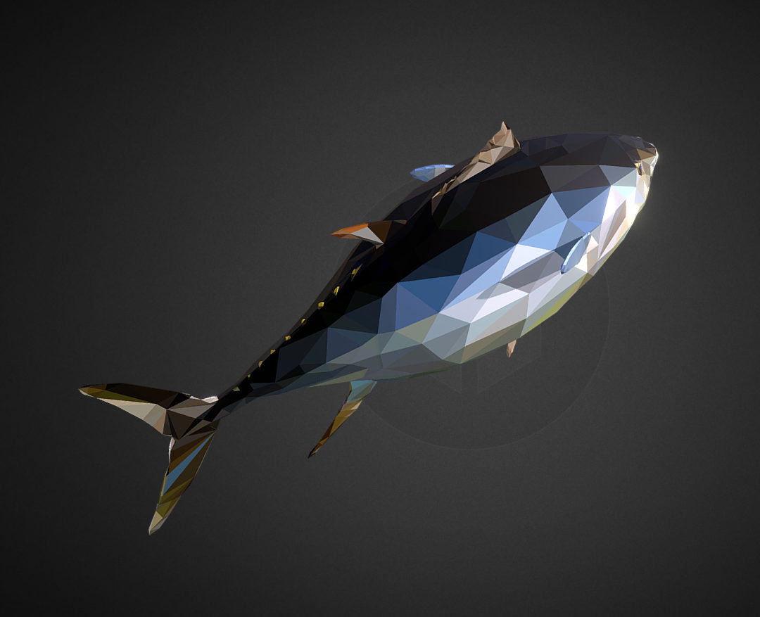 tuna low polygon art ocean fish 3d model 3ds  fbx ma mb tga targa icb vda vst pix obj 270111