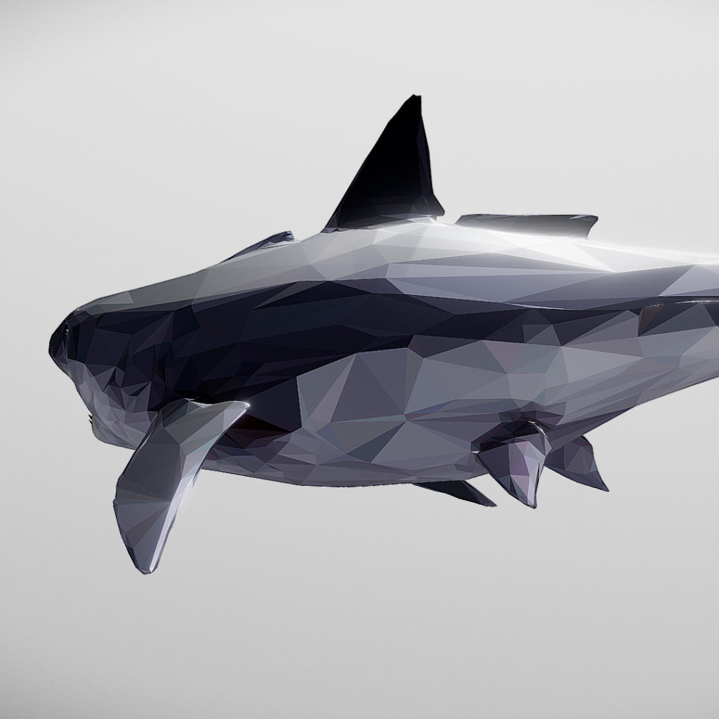 Dark Shark Low Polygon 3D Model - FlatPyramid