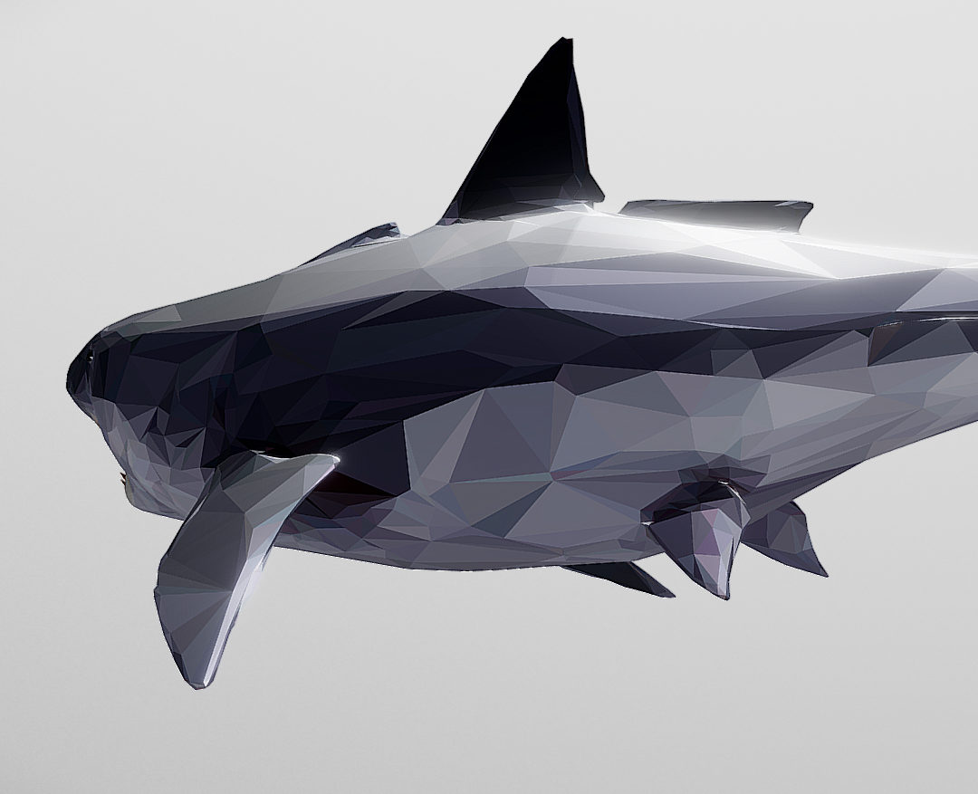 dark shark low polygon 3d model 3ds max fbx ma mb tga targa icb vda vst pix obj 270314