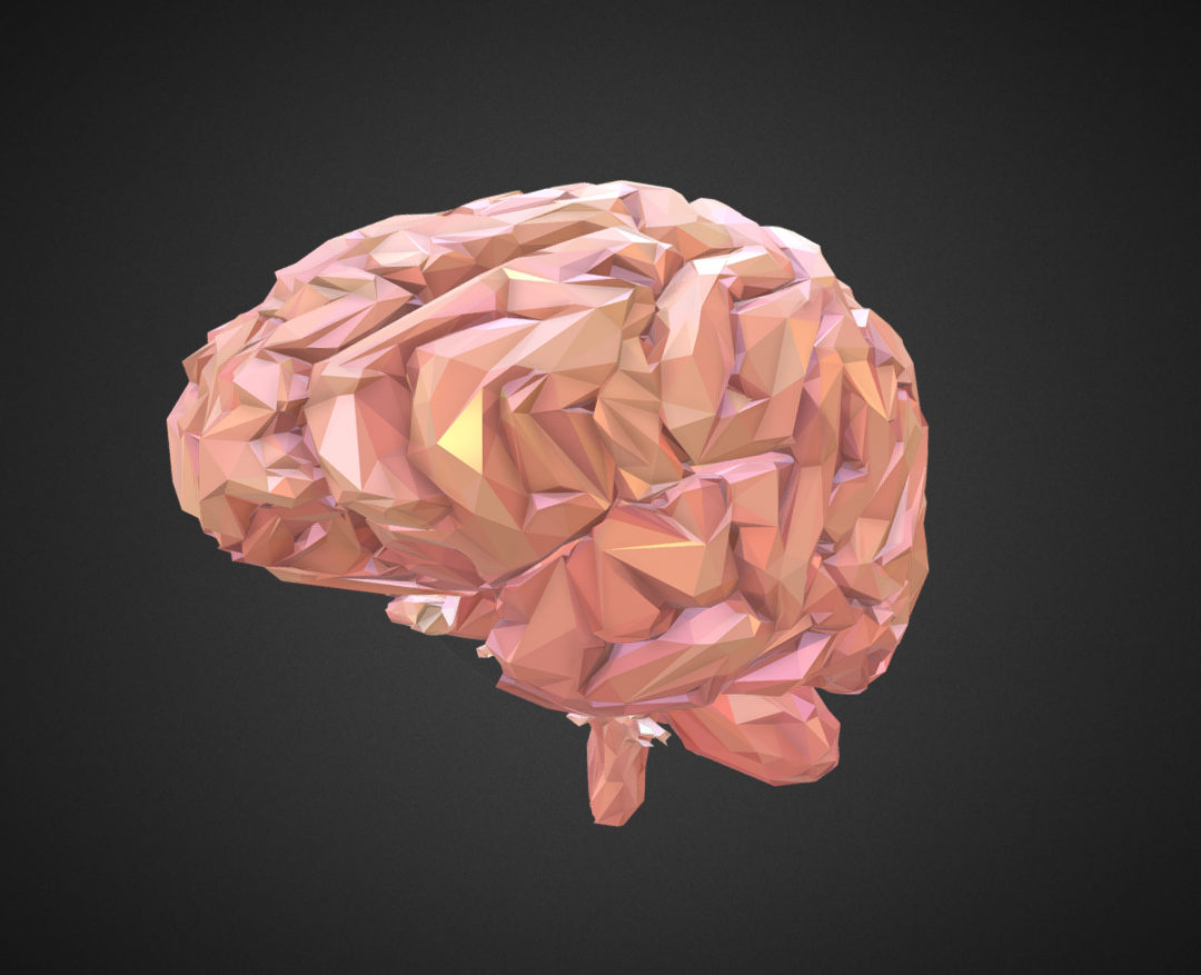 low polygon art medical brain real vr ar low-poly 3d model max 270533