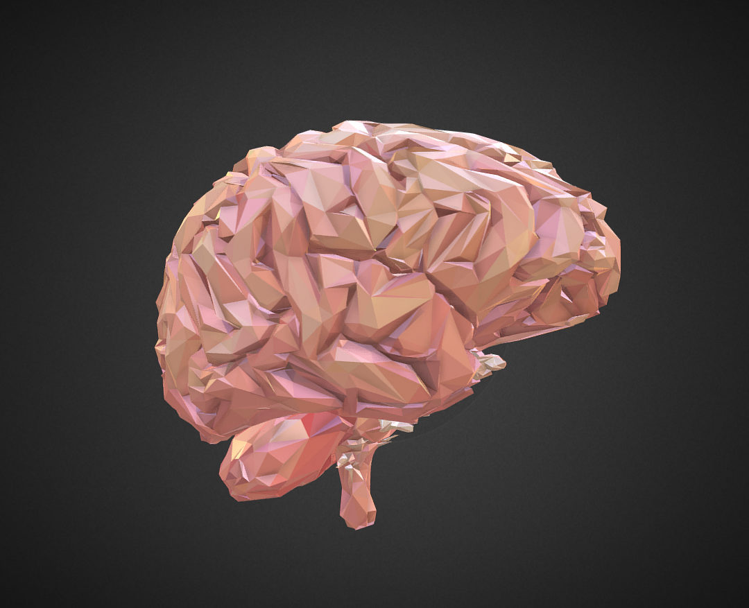 low polygon art medical brain real vr ar low-poly 3d model max 270541