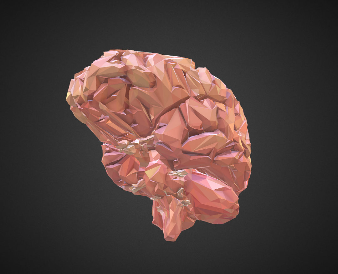 low polygon art medical brain real vr ar low-poly 3d model max 270542