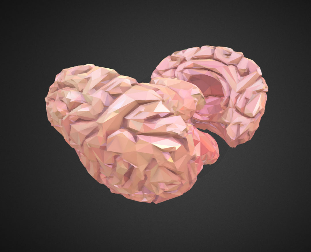 low polygon art medical brain real vr ar low-poly 3d model max 270548