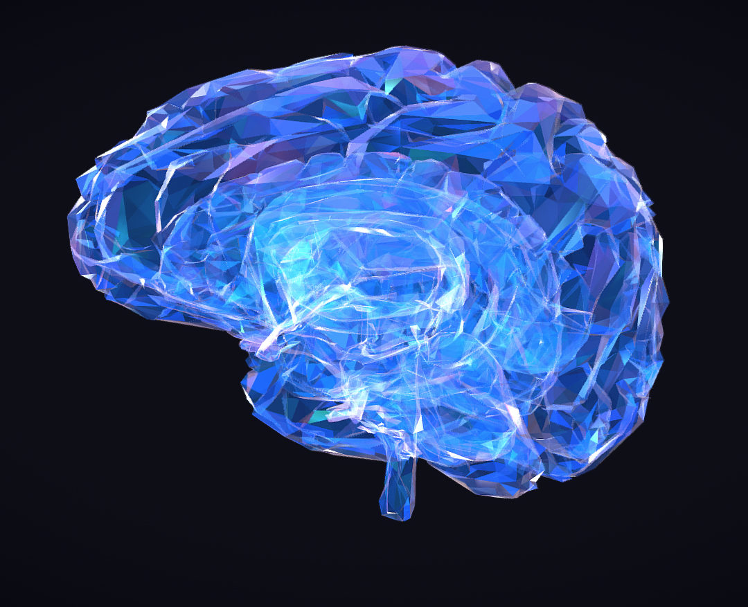 low polygon art medical brain roentgen 3d model 3ds 270583
